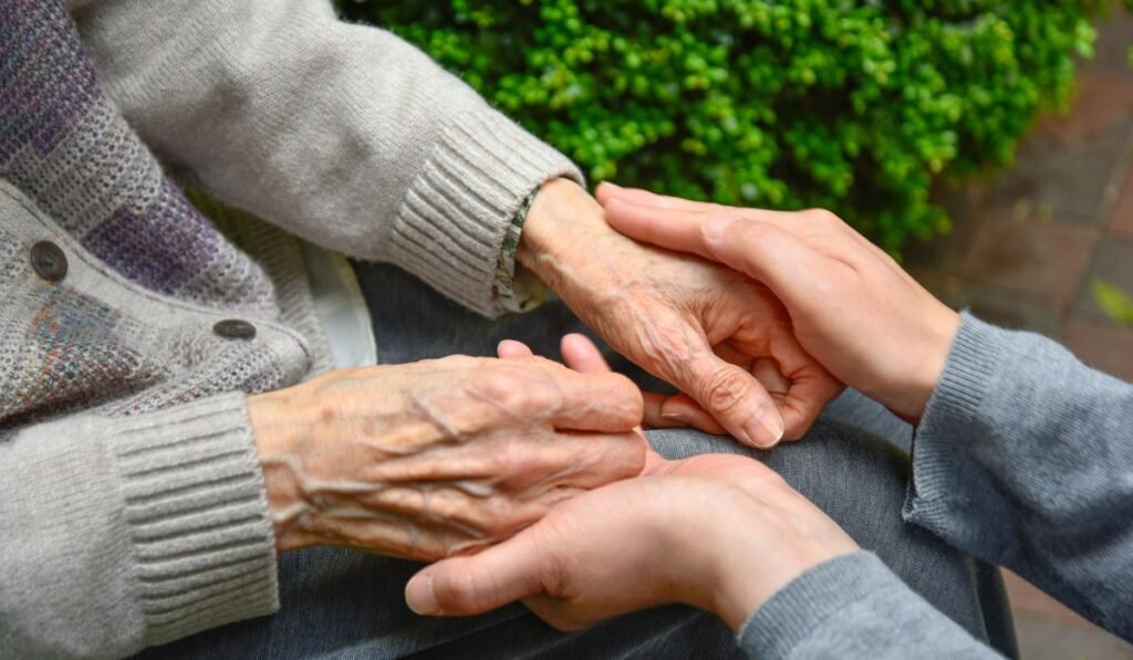 June 2026 Newsletter 1 festive season care 1