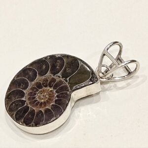 Pendant Fossil set in sterling silver