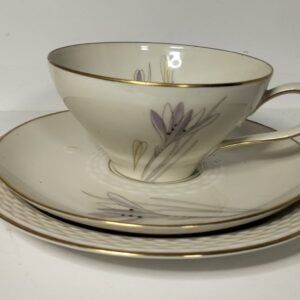 Johann Haviland Bavaria Gold Rim Set Cup Saucer Plate Set