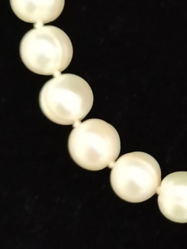 Freshwater Pearl Necklace - Image 4
