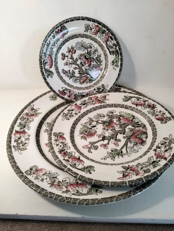 Rare Johnson Bros Indian Tree Plates - Image 2