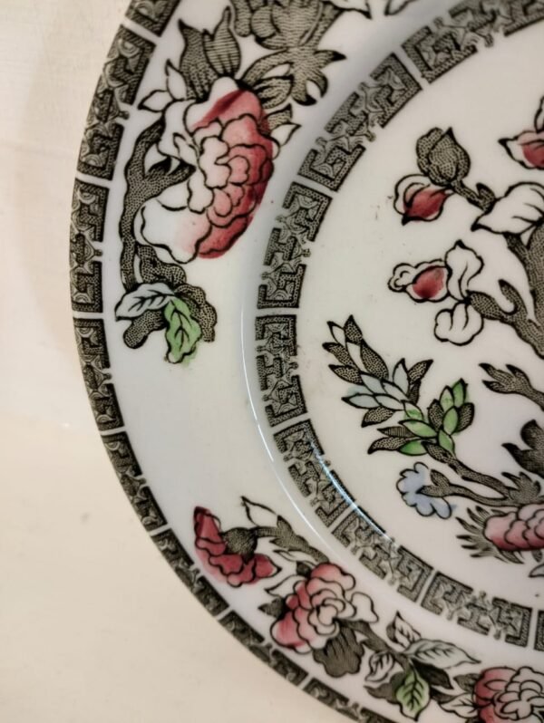 Rare Johnson Bros Indian Tree Plates - Image 4