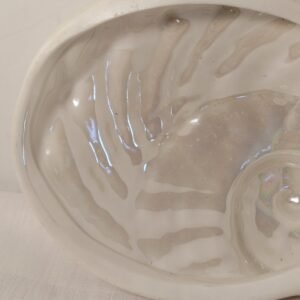 Luna del Mar Porcelain Shell Dish