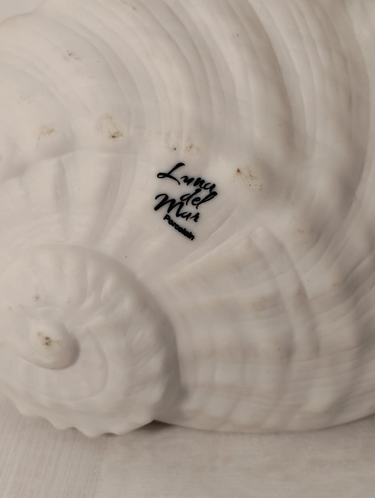 Luna del Mar Porcelain Shell Dish 3 Luna del Mar Porcelain Shell Dish - Image 3