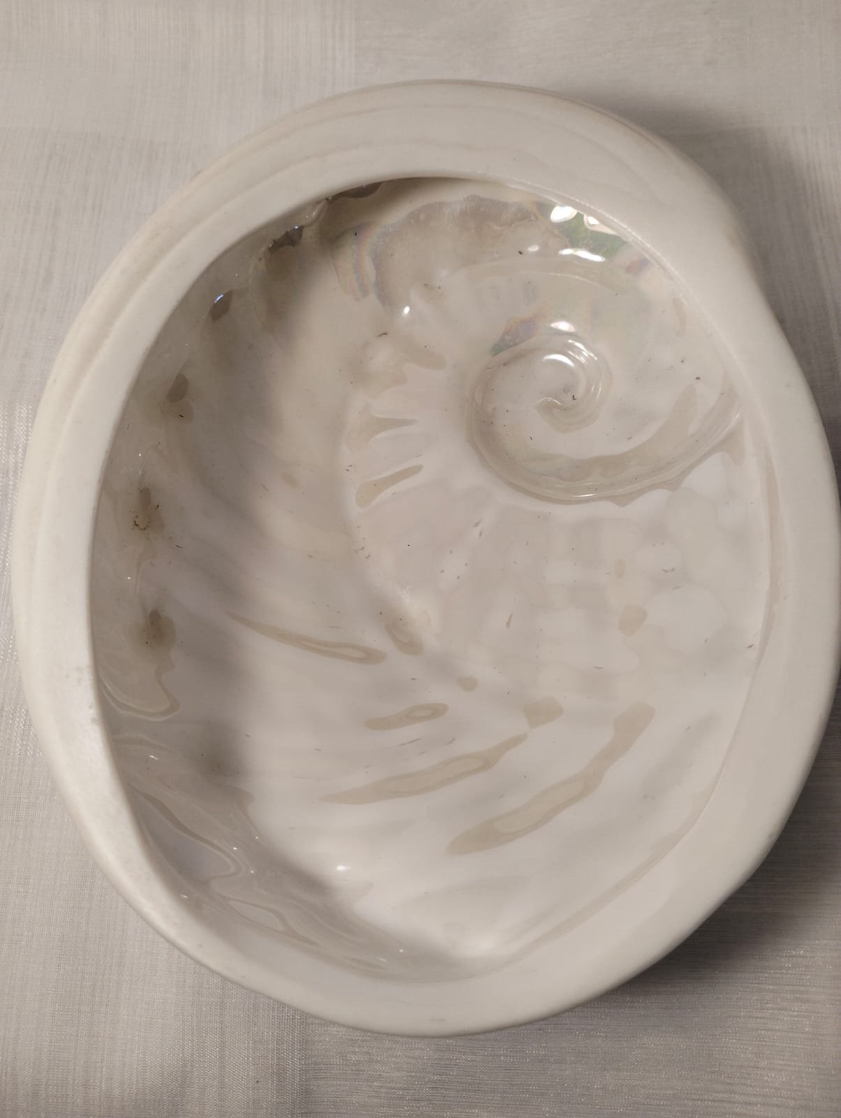 Luna del Mar Porcelain Shell Dish 5 Luna del Mar Porcelain Shell Dish - Image 5