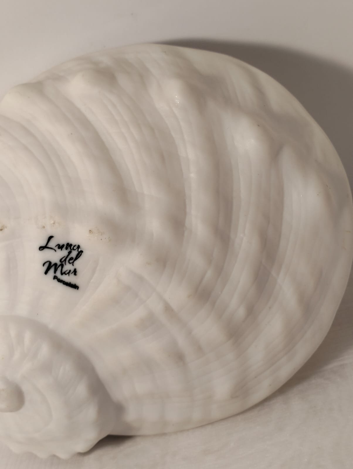 Luna del Mar Porcelain Shell Dish 6 Luna del Mar Porcelain Shell Dish - Image 6