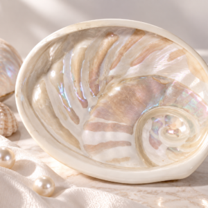 Luna del Mar Porcelain Shell Dish